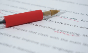 essay